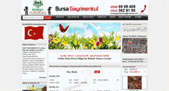 Desktop Screenshot of bursagayrimenkul.com